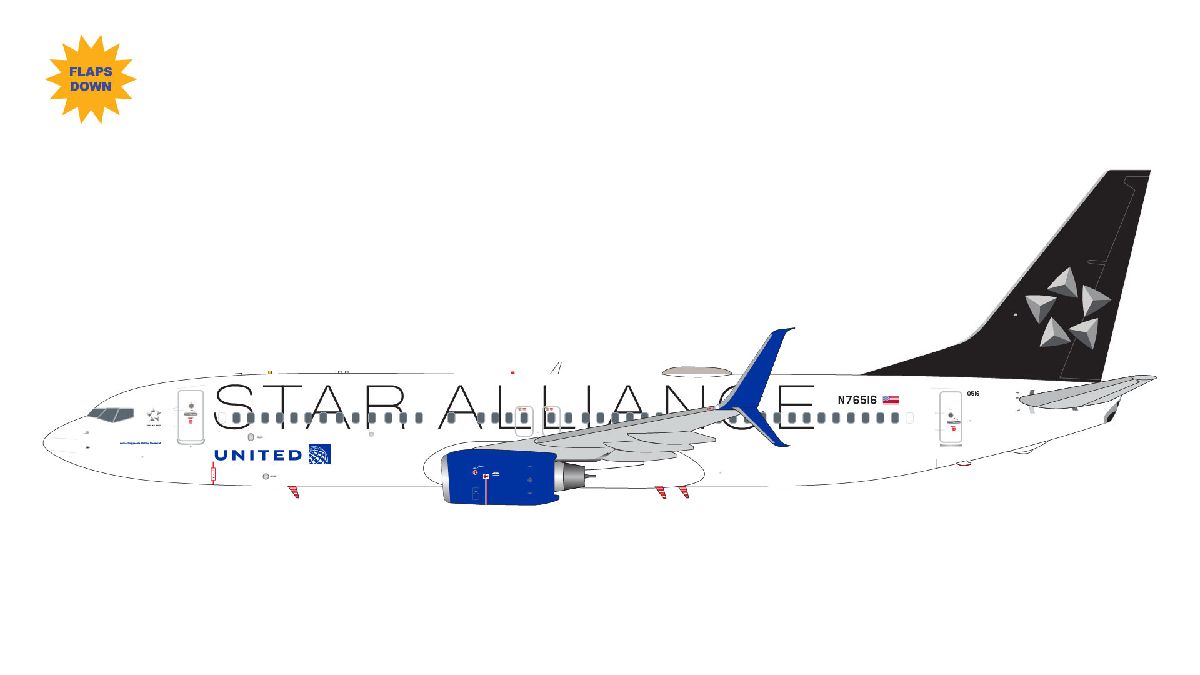 G2UAL1378F GEMINI 200 United Airlines / ユナイテッド航空 B737-800W N76516 